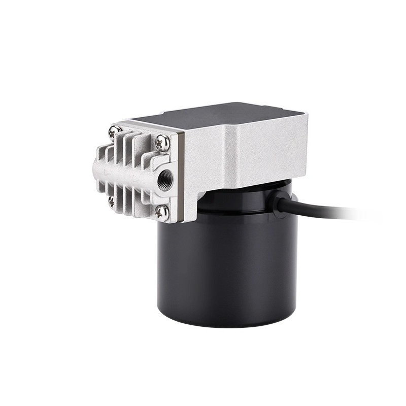 Swinging piston pump 24V boost - Rubber Booster Speed recension och pris
