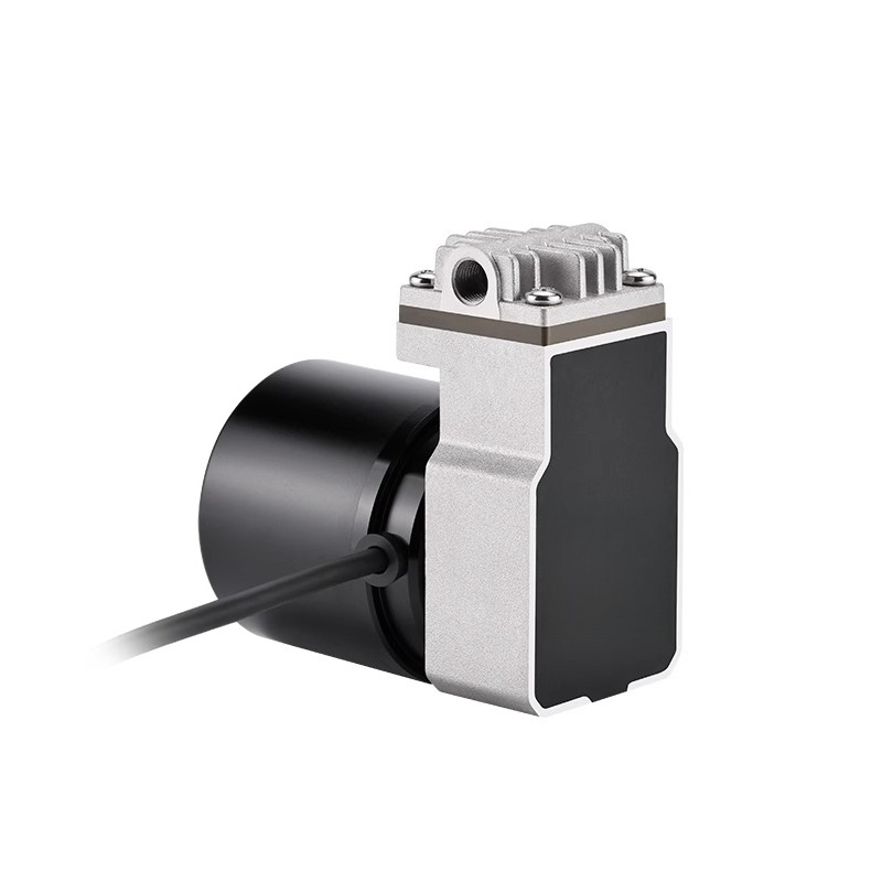 Swinging piston pump 24V boost - Rubber Booster Speed recension och pris